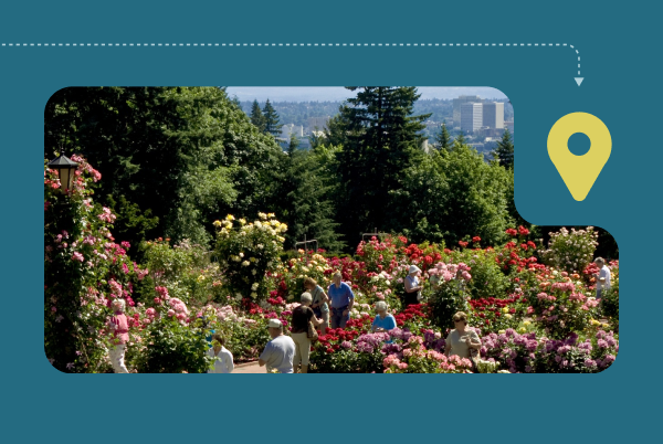 People explore the Portland International Rose Test Garden on a sunny day People explore the Portland International Rose Test Garden on a sunny day