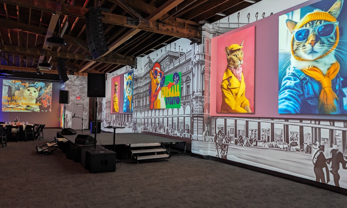 an event stage with large projection wall showing cats in costume behind it