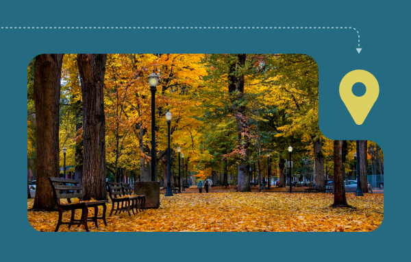 two people walk with umbrellas in the distance along a path covered with golden-colored leaves in a city park